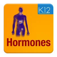 Hormones